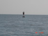 Buoy 1